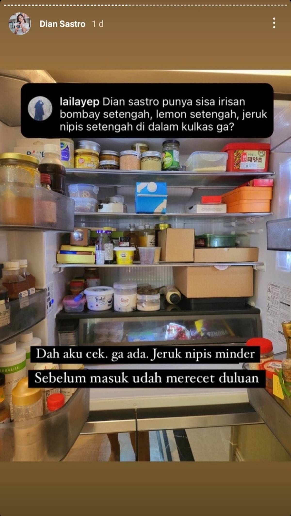 Potret Cantik Rumah Dian Sastro