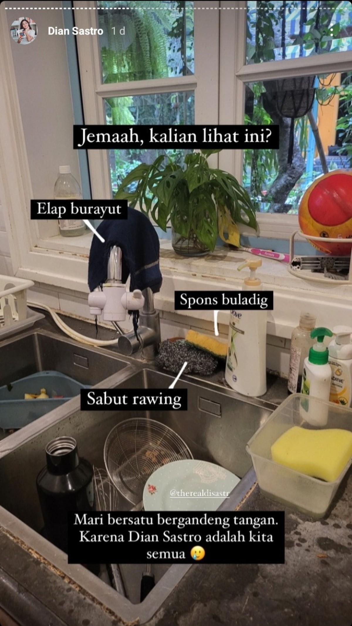 Potret Cantik Rumah Dian Sastro