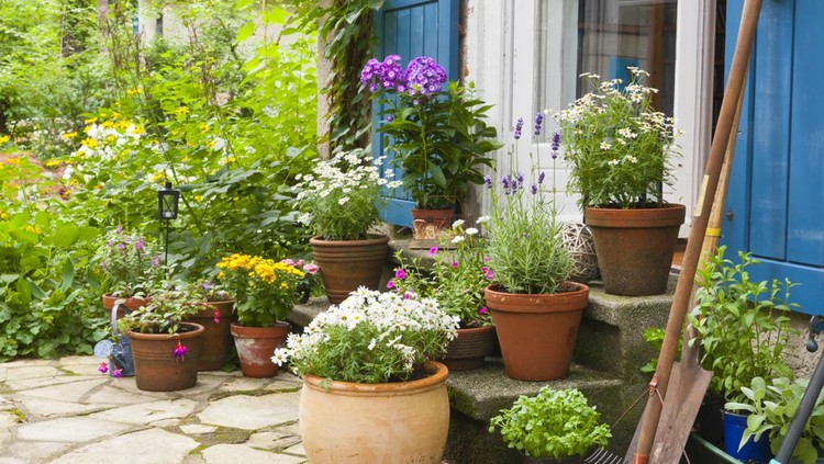 patio with flowers and flower pots