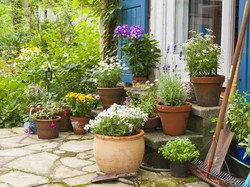 8 Tips Menjaga Halaman Rumah Tetap Bersih dan Nyaman