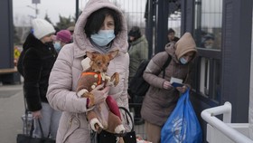 Ukraina Minta Warga Luhansk Lari Hindari Serangan Rusia