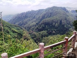 Spot Healing Ijo Royo-royo di Tebing Keraton Bandung
