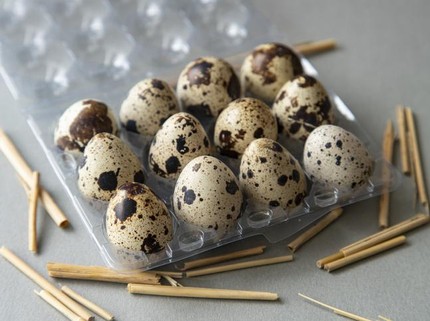 Telur Puyuh atau Telur Ayam yang Memicu Kolesterol Tinggi? Ini Penjelasannya