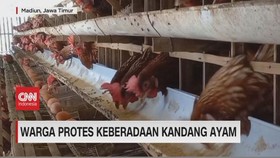 VIDEO: Warga Protes Keberadaan Kandang Ayam