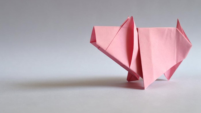 Bukan Akibat Ternak Babi di Cina, Ternyata Ini Biang Kerok Harga Kedelai Sedunia Naik!