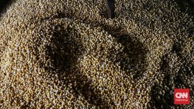 Pemerintah Kaji Perpanjang Subsidi Kedelai untuk Perajin Tahu di 2023