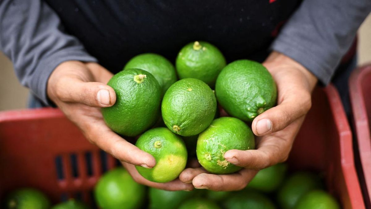 Lemon dan Jeruk Nipis, Si Asam Kembar yang Beda Manfaat