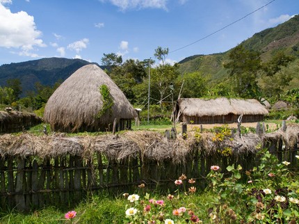 Mengenal Honai, Rumah Adat Papua dengan Keunikannya