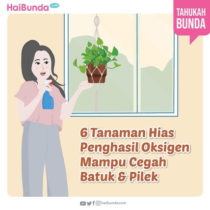 Detik Network