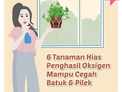 Tanaman Hias Penghasil Oksigen, Mampu Cegah Batuk & Pilek