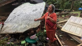 100 Korban Gempa Mengungsi ke Kebun Sawit, Anak-anak Digigit Kelabang