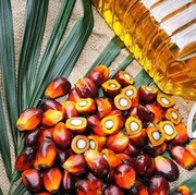 Selain Jadi Minyak Goreng, 5 Produk Sehari-hari Ini Ternyata Produk Turunan dari Minyak Sawit!