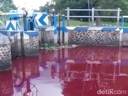 Sungai Mojoranu di Jombang Berwarna Merah Darah Selama 5 Jam