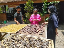 Oleh-oleh Jateng Zaman Now, Jamur Borobudur