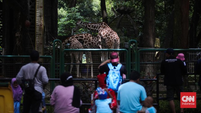 Taman Margasatwa Ragunan tetap menerapkan protokol kesehatan yang ketat. Artinya, Ragunan membatasi jumlah pengunjung, dan jam operasional.