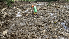 Longsor Terjang Garut, Satu Warga Tewas usai Rumah Tertimpa Pohon