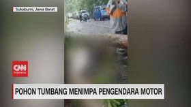 VIDEO: Pohon Tumbang Timpa Pemotor, Mobil dan Tutup Jalan Tol