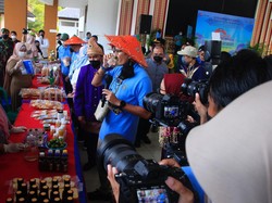 Desa Keciput di Belitung, Bisa Wisata Sekaligus Lestarikan Penyu
