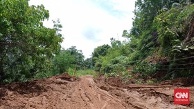Banjir Bandang Banggai: 32 Rumah Rusak, 178 Hewan Ternak Mati