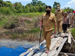 Gubernur Kalteng Dorong Percepatan Pembangunan Shrimp Estate