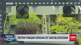 VIDEO: Sistem Pangan Dengan IOT Dan Blockchain
