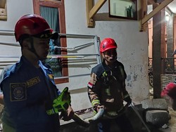 Hii! Ular Sanca 2 Meter Ngumpet di Dapur Rumah Warga Garut