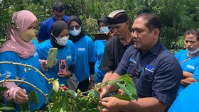PNM Ajak Nasabah Mekaar Belajar Pengembangan Bisnis Kopi di Bali