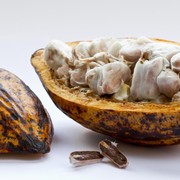 Mampu Redakan Kram Menstruasi, Ini 5 Manfaat Kakao untuk Kesehatan yang Belum Banyak Diketahui