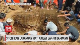 VIDEO: Tiga Ton Ikan Larangan Mati Akibat Banjir Bandang