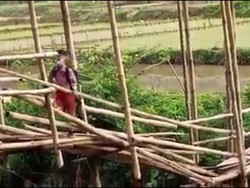 Viral Jembatan Reyot di Torut Bahayakan Siswa, Kadis PUPR: Belum Ada Anggaran