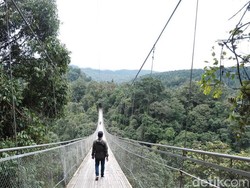Pesona Situ Gunung Sukabumi, Punya Jembatan Gantung Terpanjang se-Asia
