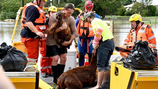 Setidaknya 20 orang tewas dan puluhan ribu warga mengungsi pada Selasa (3/8) akibat banjir yang melanda pantai timur Australia selama sepekan.