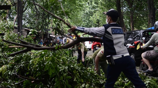 Sebuah mobil tertimpa pohon tumbang di di Jalan MA Salmun, Bogor, dekat Pasar Anyar, Bogor, Senin (7/3) pukul 07.00 WIB.