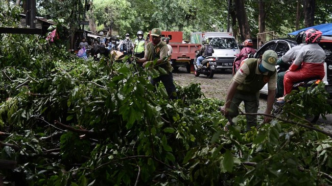 Hujan lebat disertai angin kencang di wilayah Jabodetabek dilaporkan telah menelan korban jiwa .