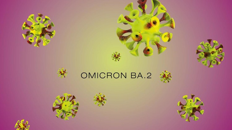 Omicron BA.2 Virus mutation