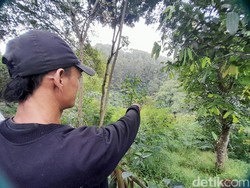 Mitos atau Fakta: Oray Koneng Cadas Pangeran Betulan Ada?