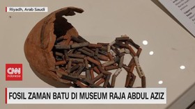VIDEO: Fosil Zaman Batu di Museum Raja Abdul Aziz