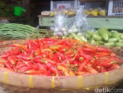 Harga Cabai Domba di Majalengka Rp 80 Ribu Per Kilogram!