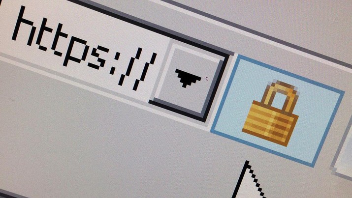 FILE PHOTO: A lock icon, signifying an encrypted Internet connection, is seen on an Internet Explorer browser in a photo illustration in Paris, France April 15, 2014. REUTERS/Mal Langsdon/File Photo
