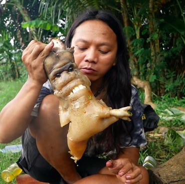 Dede Inoen si Pemuncak Rantai Makanan Tumbang Usai Makan Kotoran Kuda