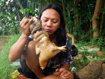 Dede Inoen si Pemuncak Rantai Makanan Tumbang Usai Makan Kotoran Kuda