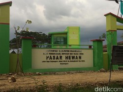 Dugaan Korupsi Pembangunan Pasar Hewan Bojonegoro Diselidiki Polda Jatim