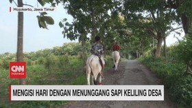 VIDEO: Unik Keliling Ladang Cabe dan ke Warkop Naik Sapi