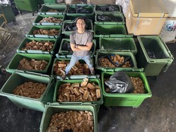 Keren! Pemuda Ini Budi Daya Belatung Demi Atasi Limbah Makanan