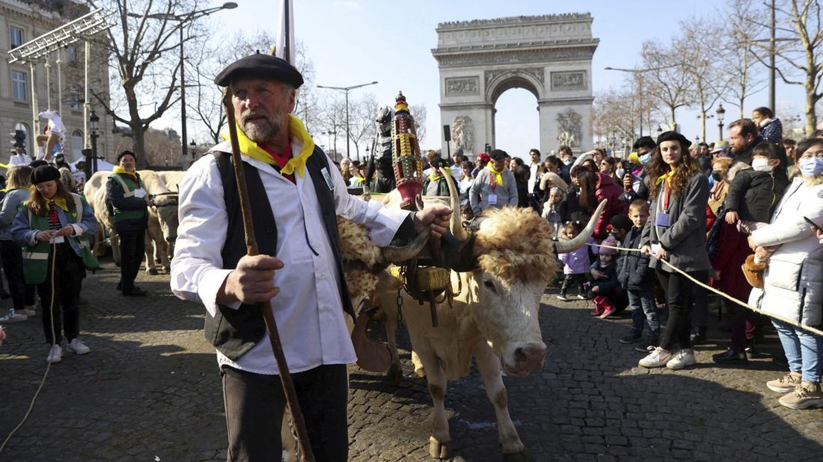 FOTO: Kala Ribuan Domba Pawai Memenuhi Jalanan Paris