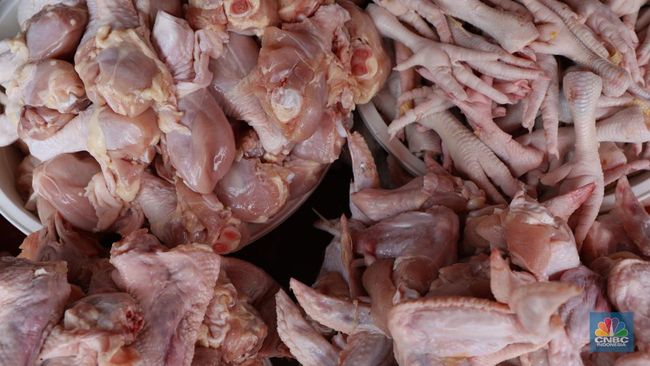 Aneh! Harga Ayam di Peternak Murah Banget, di Pasar Segini
