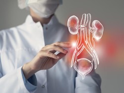 Dokter Ungkap Kebiasaan Sehari-hari yang Bisa Picu Gagal Ginjal Kronis di Usia Muda