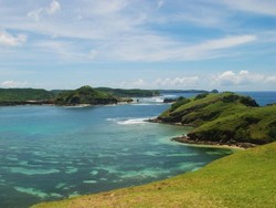 Ternyata Laut memiliki Zona Mati, Begini Ciri-cirinya!