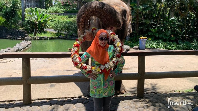 Venna Melinda dan Ferry Irawan Venna Melinda dan Ferry Irawan telah sah menjadi suami istri, mereka pun bulan madu di Bali dan ajak Vania jalan-jalan. Yuk, intip!
