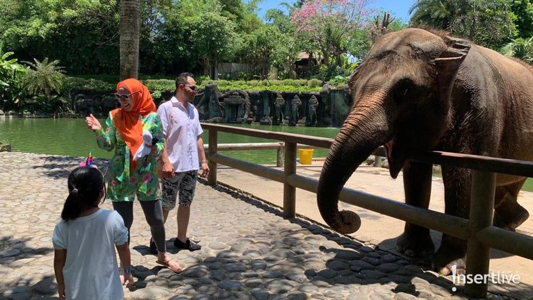 Venna Melinda dan Ferry Irawan Venna Melinda dan Ferry Irawan telah sah menjadi suami istri, mereka pun bulan madu di Bali dan ajak Vania jalan-jalan. Yuk, intip!